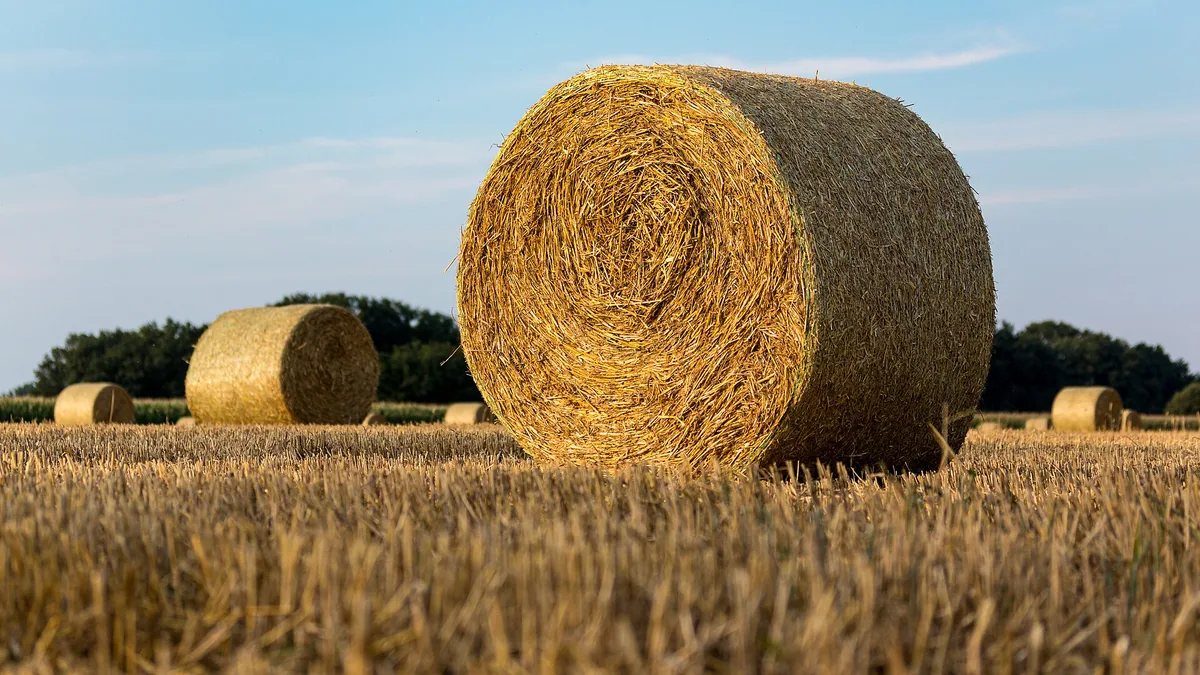 Straw bales in a field in the Dernekamp hamlet, Kirchspiel, Dülmen , North Rhine-Westphalia , Germany